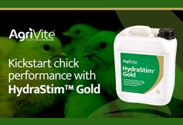 Kickstart chick performance with Agrivite HydraStimâ„¢ Gold