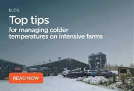 Top tips for managing colder temperatures on intensive farms